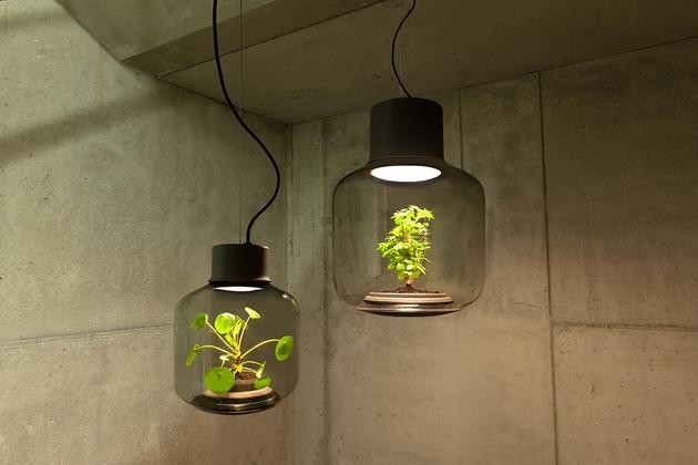 將植物放在一款密閉的LED燈具中能持續(xù)生長(zhǎng)嗎？