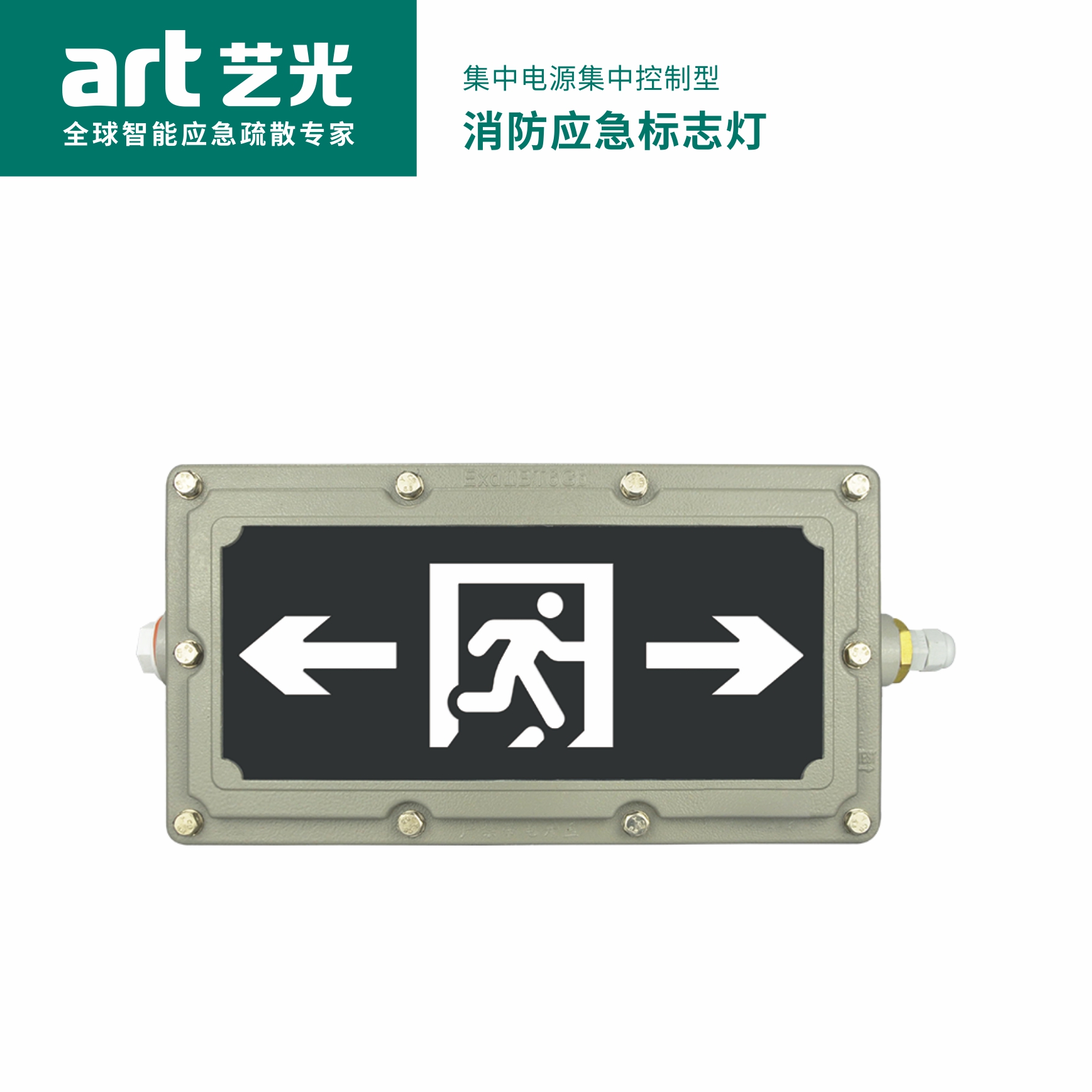 集中電源集中控制型消防應(yīng)急標志燈具 S2010（防爆款）