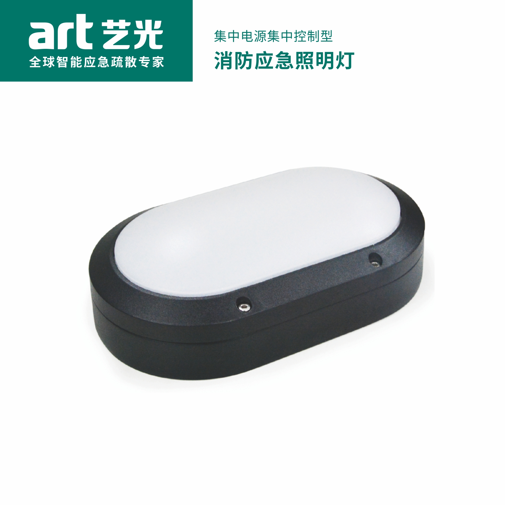 集中電源集中控制型消防應(yīng)急標志燈具 S1725/S1725T